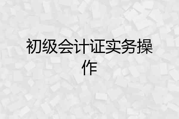 初级会计证实务操作
