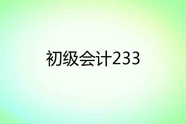 初级会计233