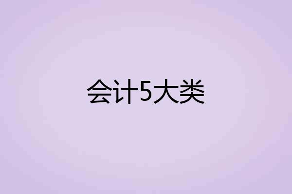 会计5大类