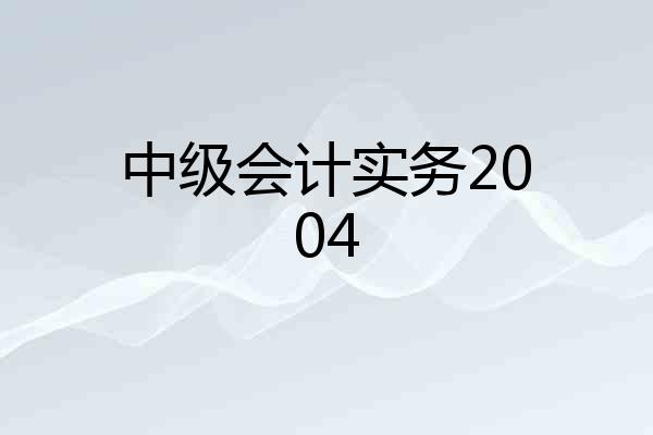 中级会计实务2004
