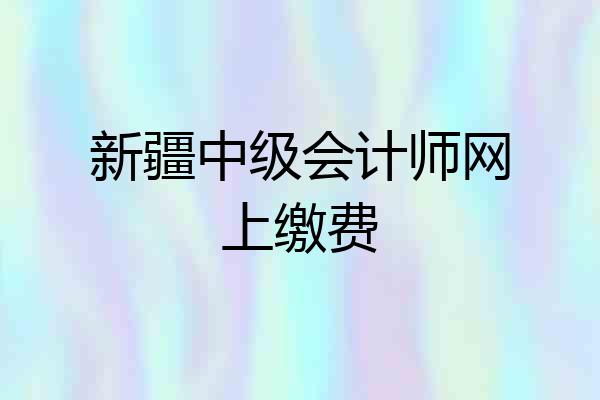 新疆中级会计师网上缴费