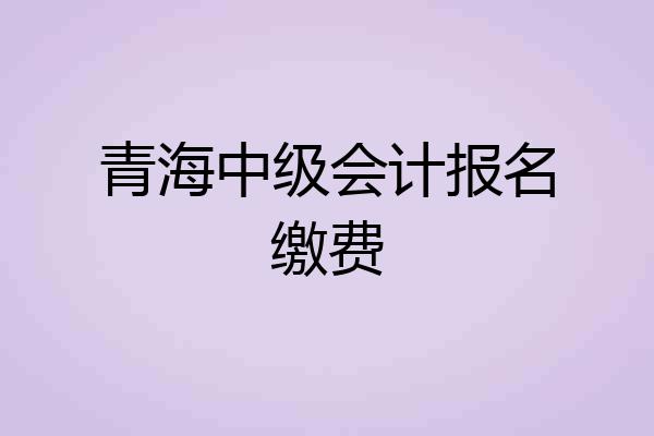 青海中级会计报名缴费