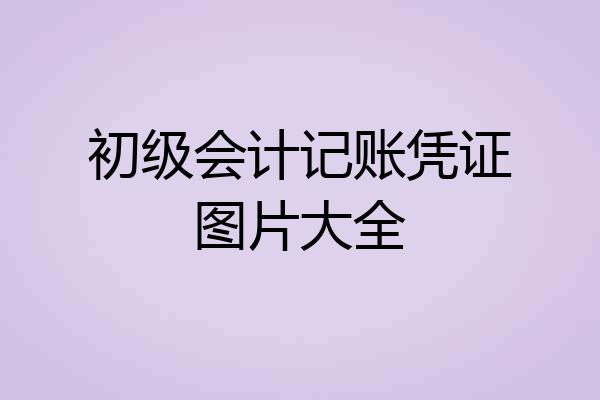 初级会计记账凭证图片大全