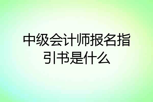 中级会计师报名指引书是什么