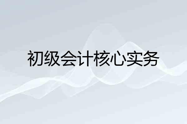 初级会计核心实务