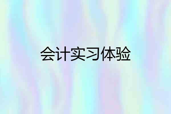 会计实习体验