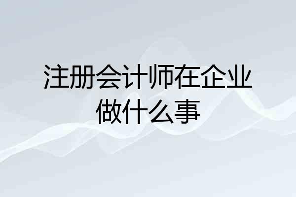 注册会计师在企业做什么事