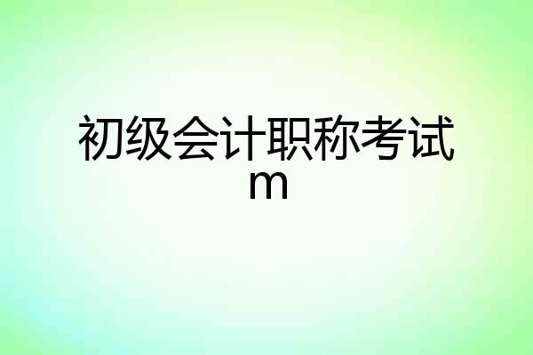 初级会计职称考试m