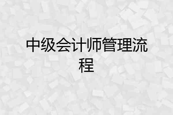 中级会计师管理流程