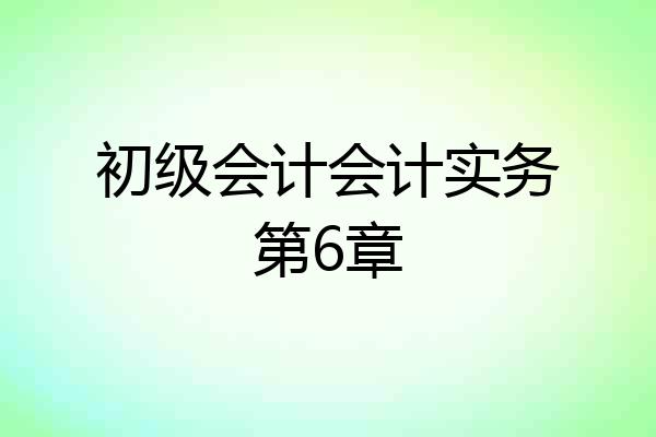 初级会计会计实务第6章