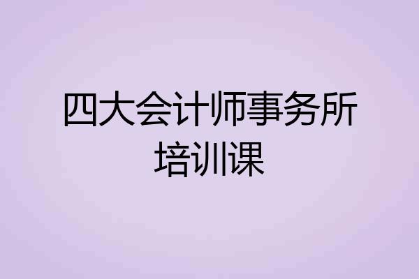 四大会计师事务所培训课