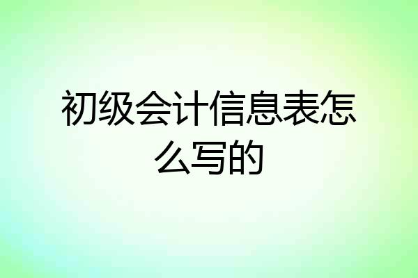初级会计信息表怎么写的
