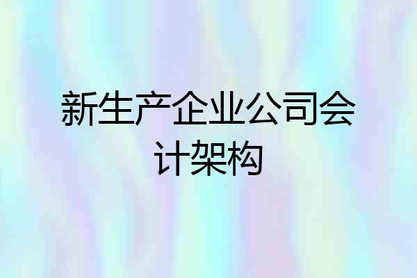 新生产企业公司会计架构