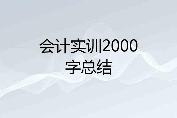 会计实训2000字总结