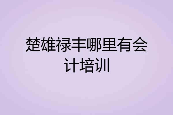 楚雄禄丰哪里有会计培训