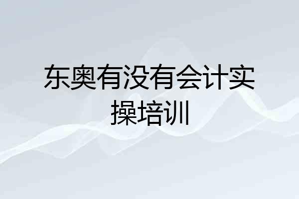 东奥有没有会计实操培训