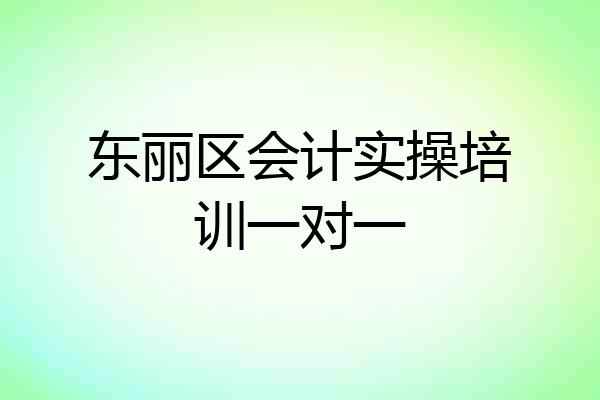 东丽区会计实操培训一对一