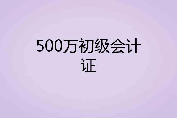500万初级会计证