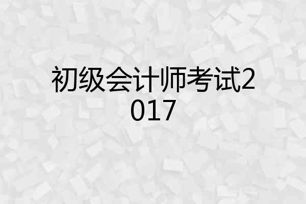 初级会计师考试2017