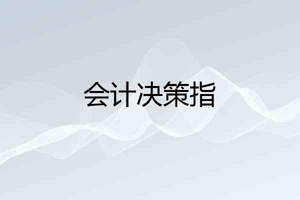 会计决策指