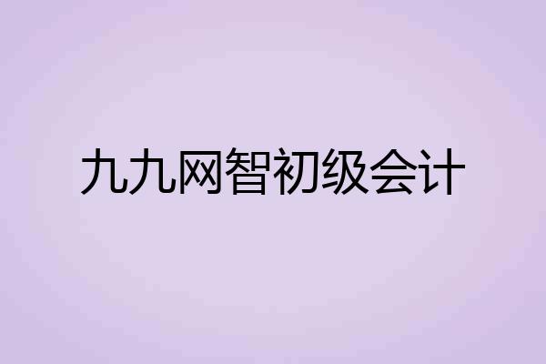 九九网智初级会计