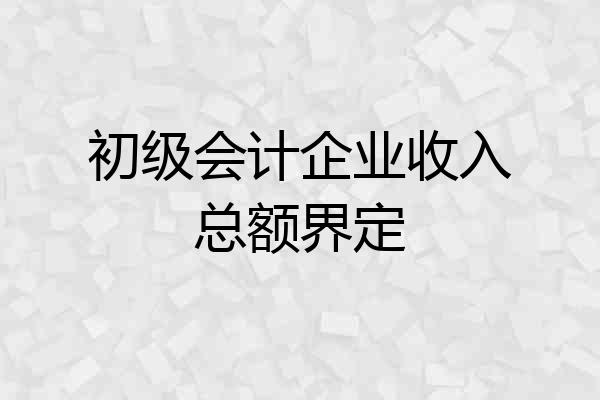 初级会计企业收入总额界定
