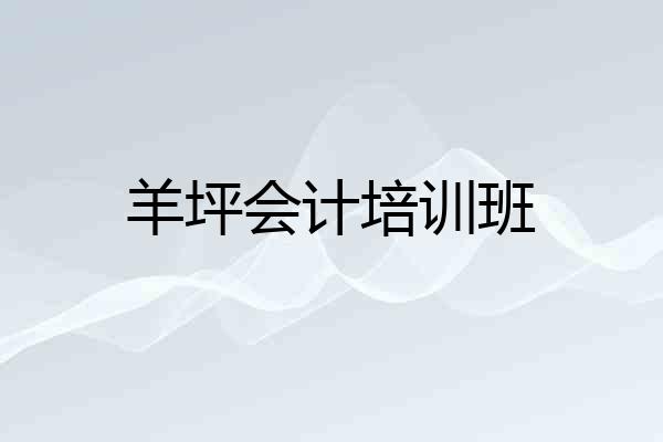 羊坪会计培训班