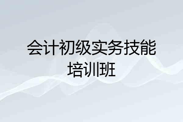 会计初级实务技能培训班