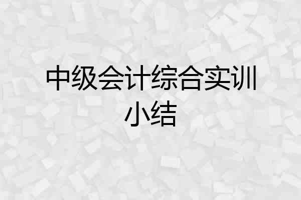 中级会计综合实训小结