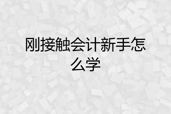 刚接触会计新手怎么学
