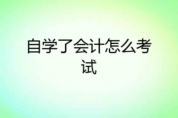 自学了会计怎么考试