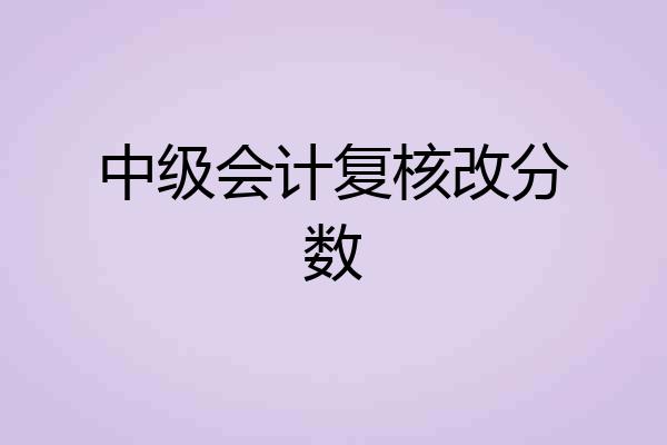 中级会计复核改分数