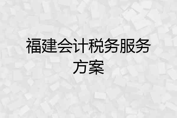福建会计税务服务方案