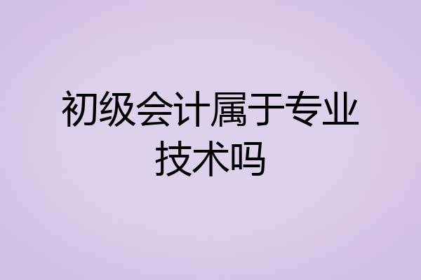 初级会计属于专业技术吗