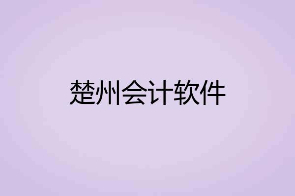 楚州会计软件