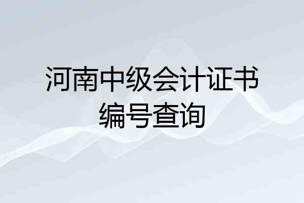 河南中级会计证书编号查询