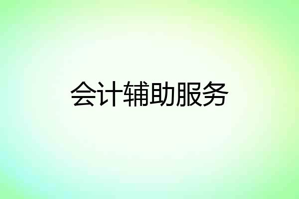 会计辅助服务