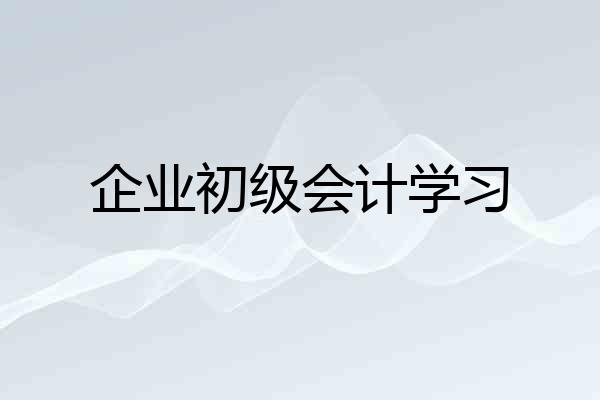 企业初级会计学习