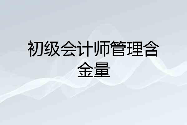 初级会计师管理含金量