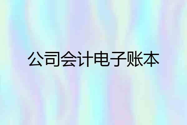 公司会计电子账本