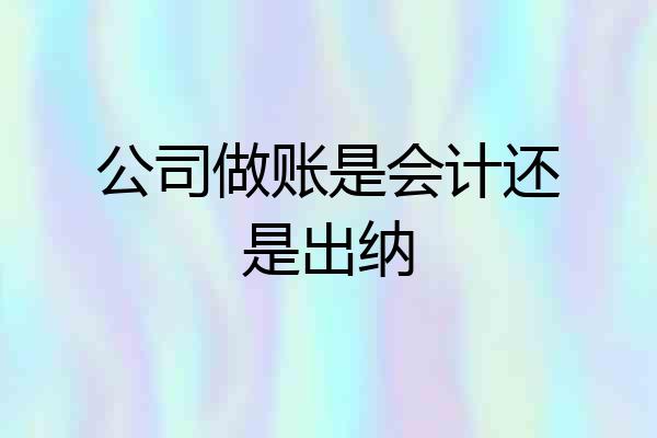 公司做账是会计还是出纳