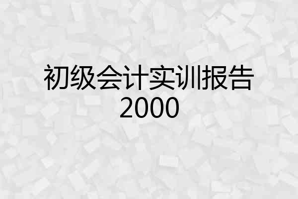 初级会计实训报告2000