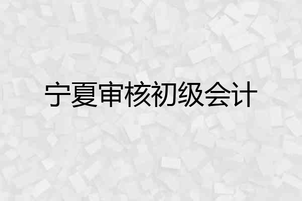 宁夏审核初级会计