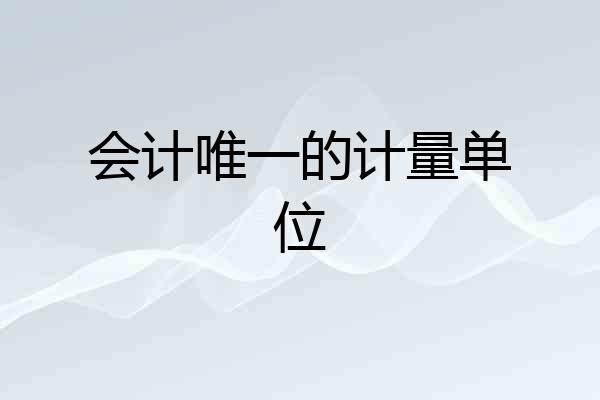 会计唯一的计量单位