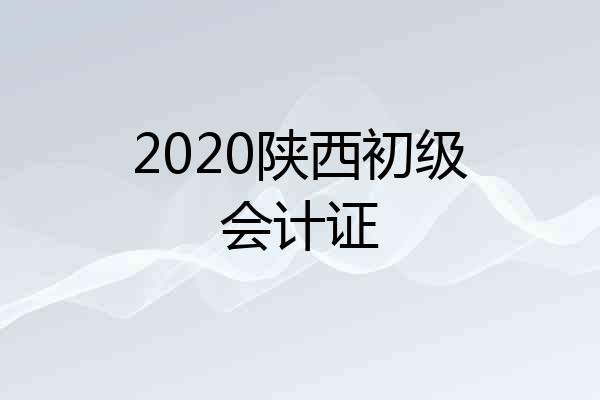 2020陕西初级会计证