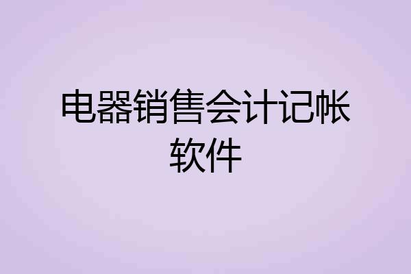 电器销售会计记帐软件