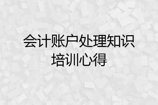 会计账户处理知识培训心得
