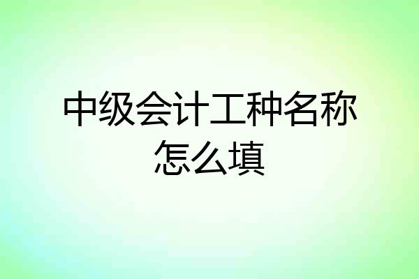 中级会计工种名称怎么填