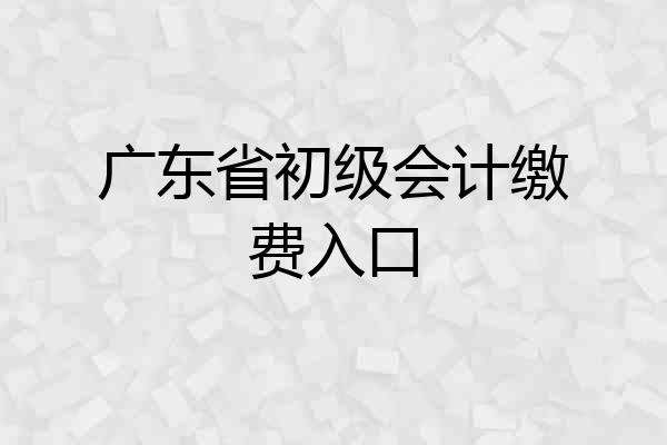 广东省初级会计缴费入口