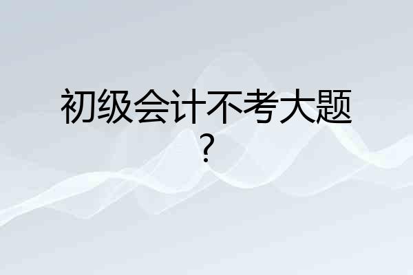 初级会计不考大题?